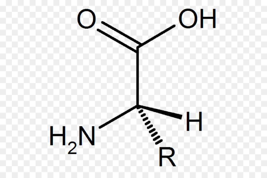 ácido，ácido Carboxílico PNG