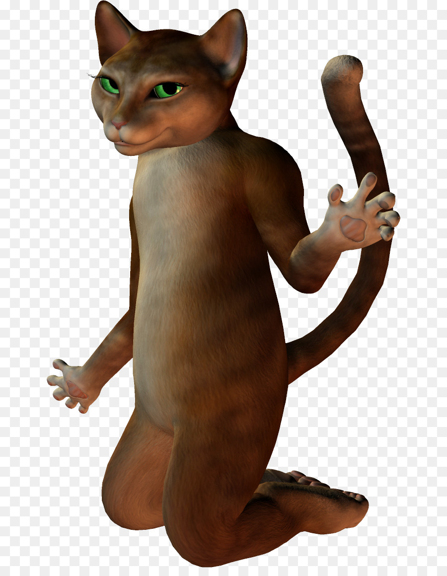 Gato，Cauda PNG