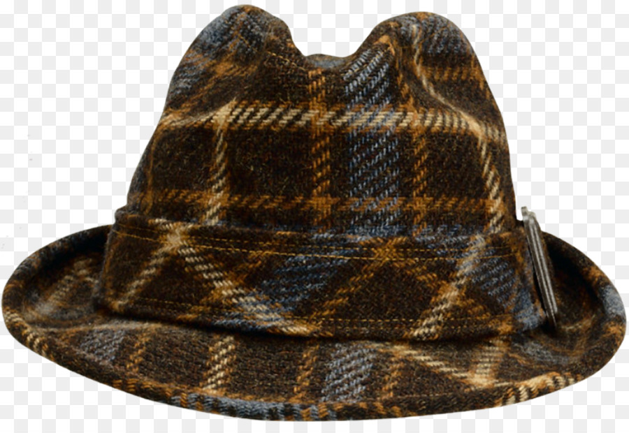 Fedora，Chapéu PNG