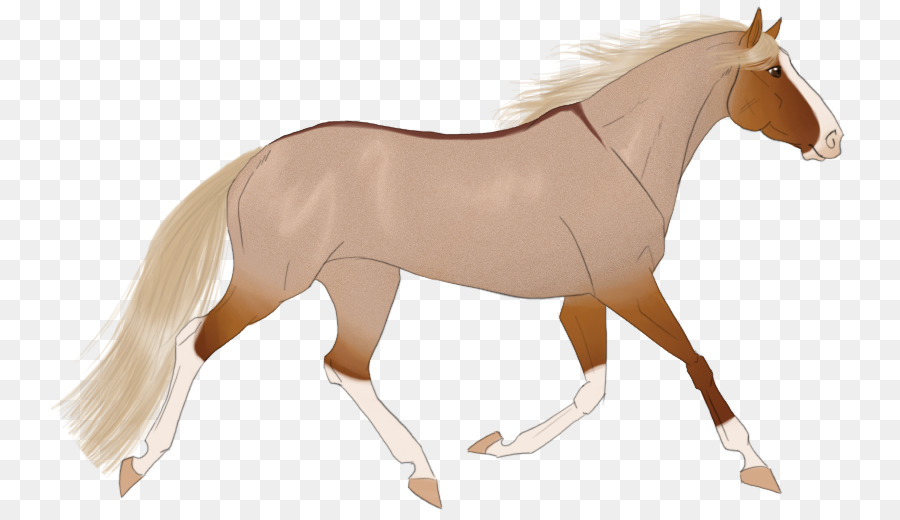 Cavalos，Potro PNG