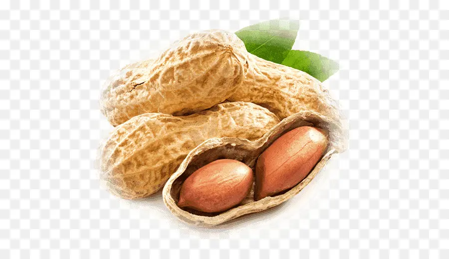 Amendoim，óleo De Amendoim PNG