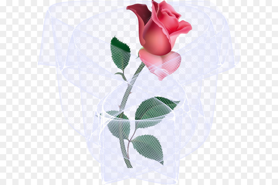 Rosa，Desenho PNG