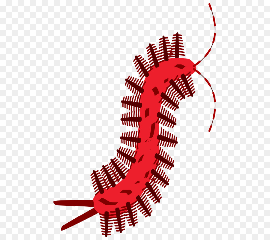 ícones Do Computador，Scolopendra PNG