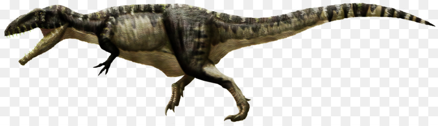 Tiranossauro，Giganotosaurus PNG