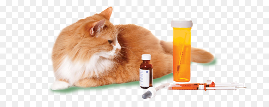 Gato，Medicamento PNG