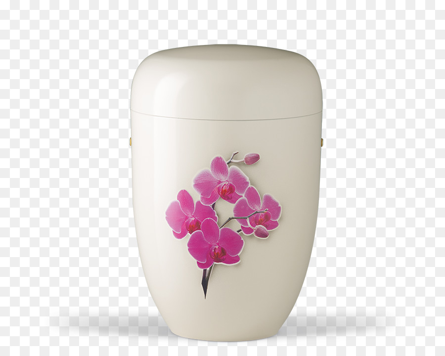 Urna，Orquídea PNG