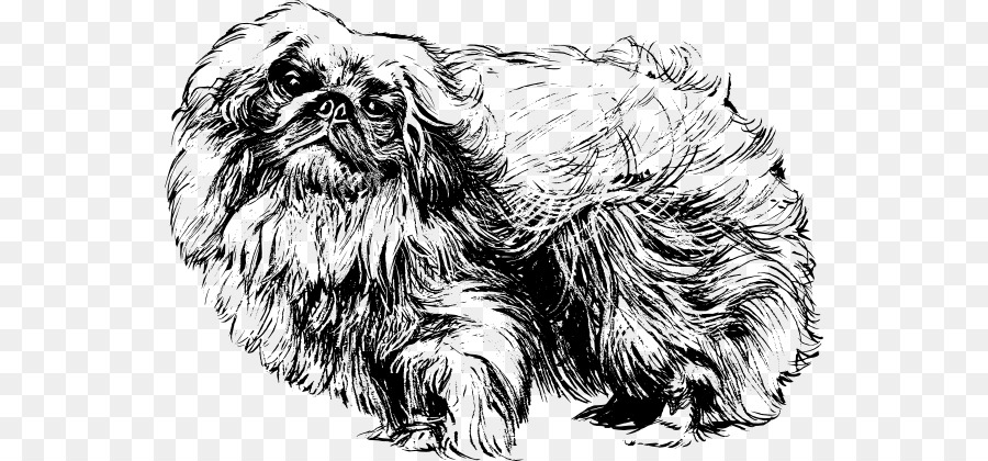 Pekingese，Shih Tzu PNG