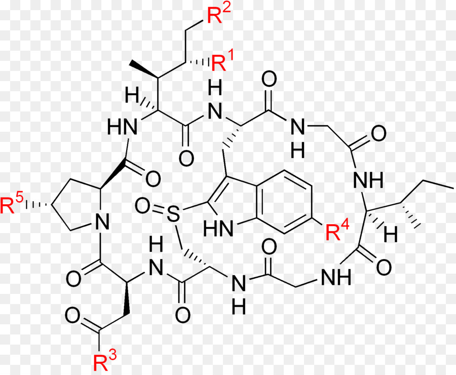 Estrutura Química，Molécula PNG