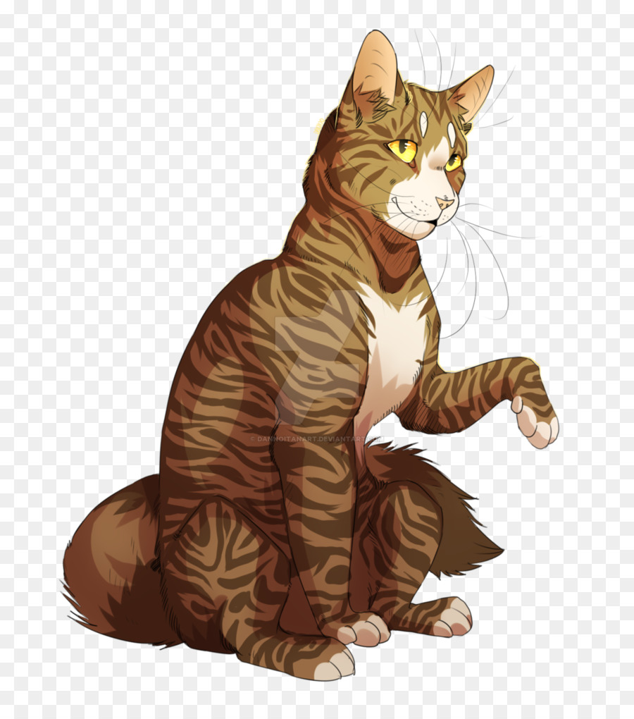 Gato Marrom，Felino PNG