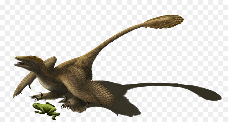 Velociraptor，Sinornithosaurus PNG