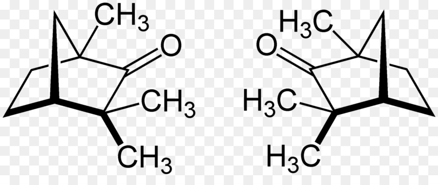 Enantiômero，Fenchone PNG