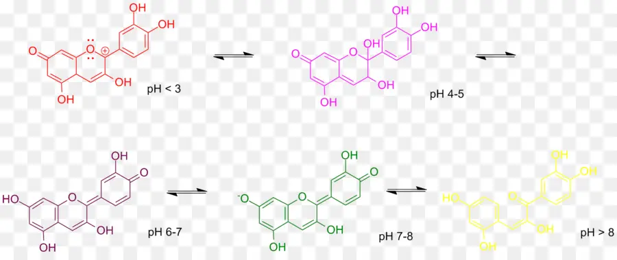 Estrutura Química，Ph PNG