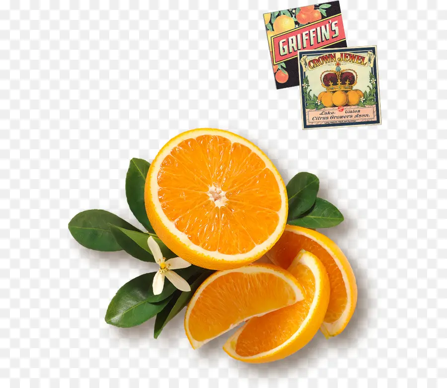 Fatias De Laranja，Cítrico PNG