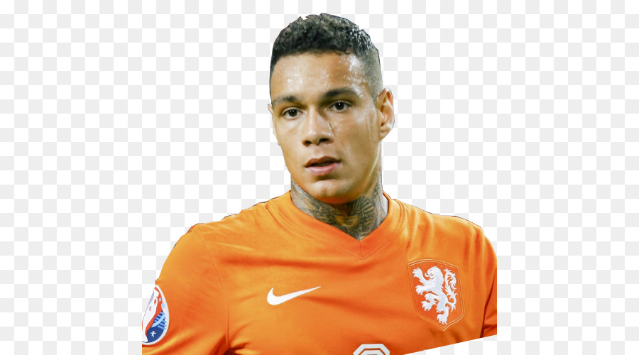 Holanda Equipa Nacional De Futebol，Jogador De Futebol PNG