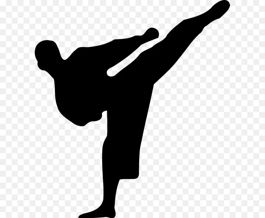 Silhueta De Karatê，Artes Marciais PNG