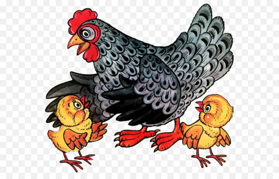 Galinha E Pintinhos，Frango PNG