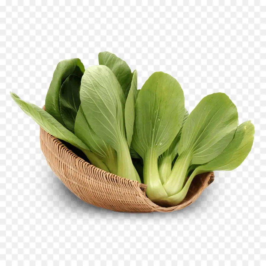 Bok Choy，Frondoso PNG