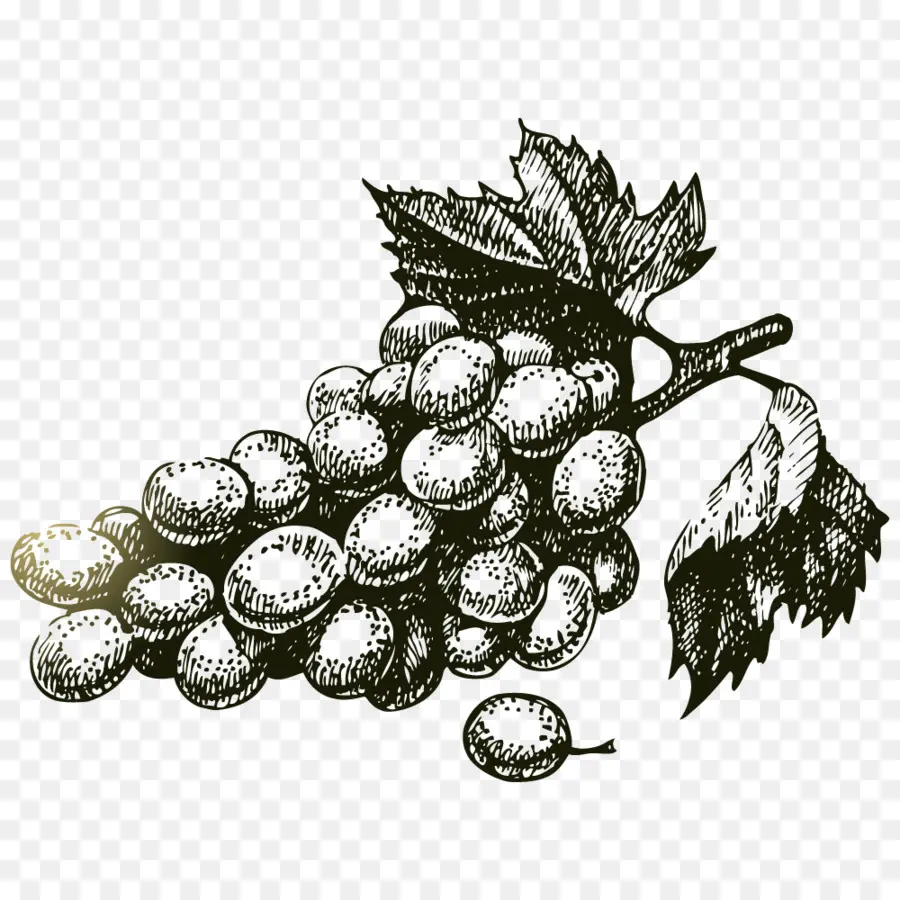 Uvas，Fruta PNG