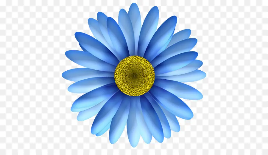 Flor，Comum Daisy PNG