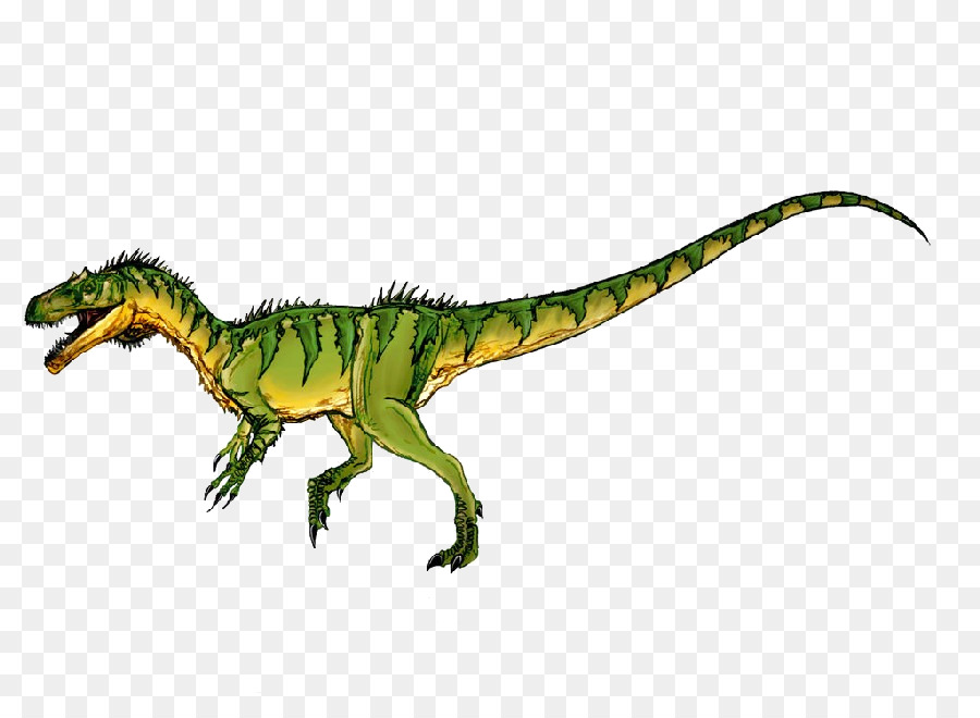 Velociraptor，Bahariasaurus PNG