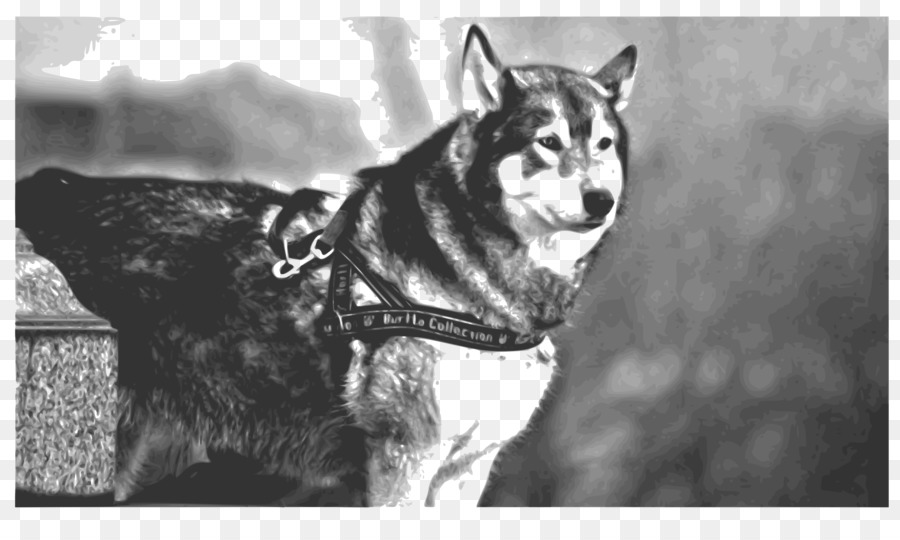 Husky Siberiano，Sakhalin Husky PNG