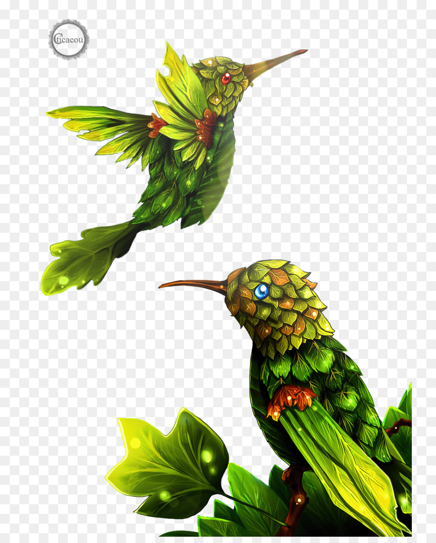 Beija Flor，Aves PNG