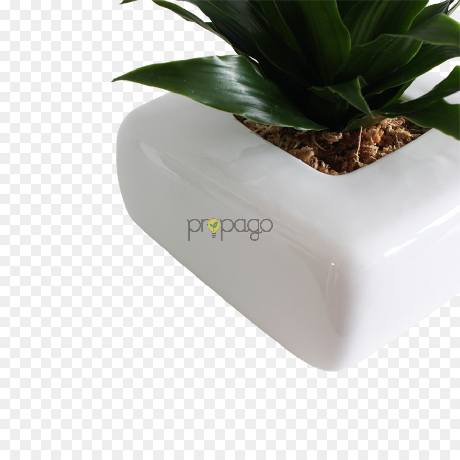 Flowerpot，Planta PNG