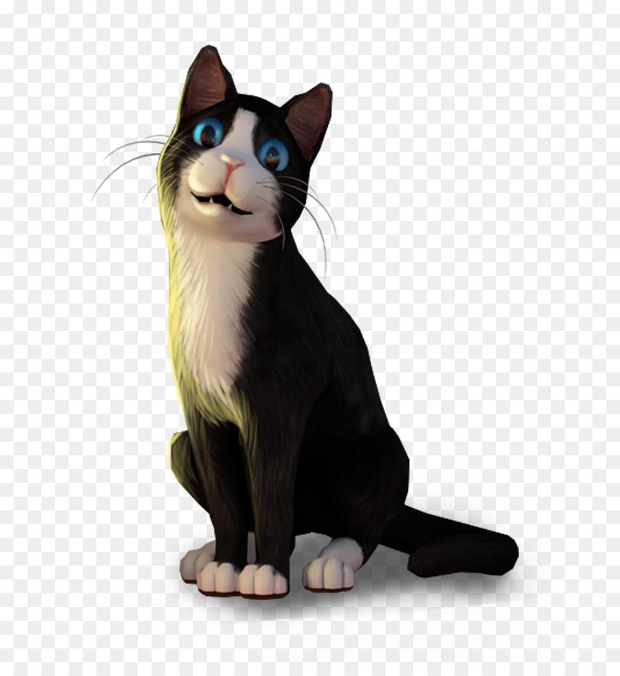 American Wirehair，Bigodes PNG