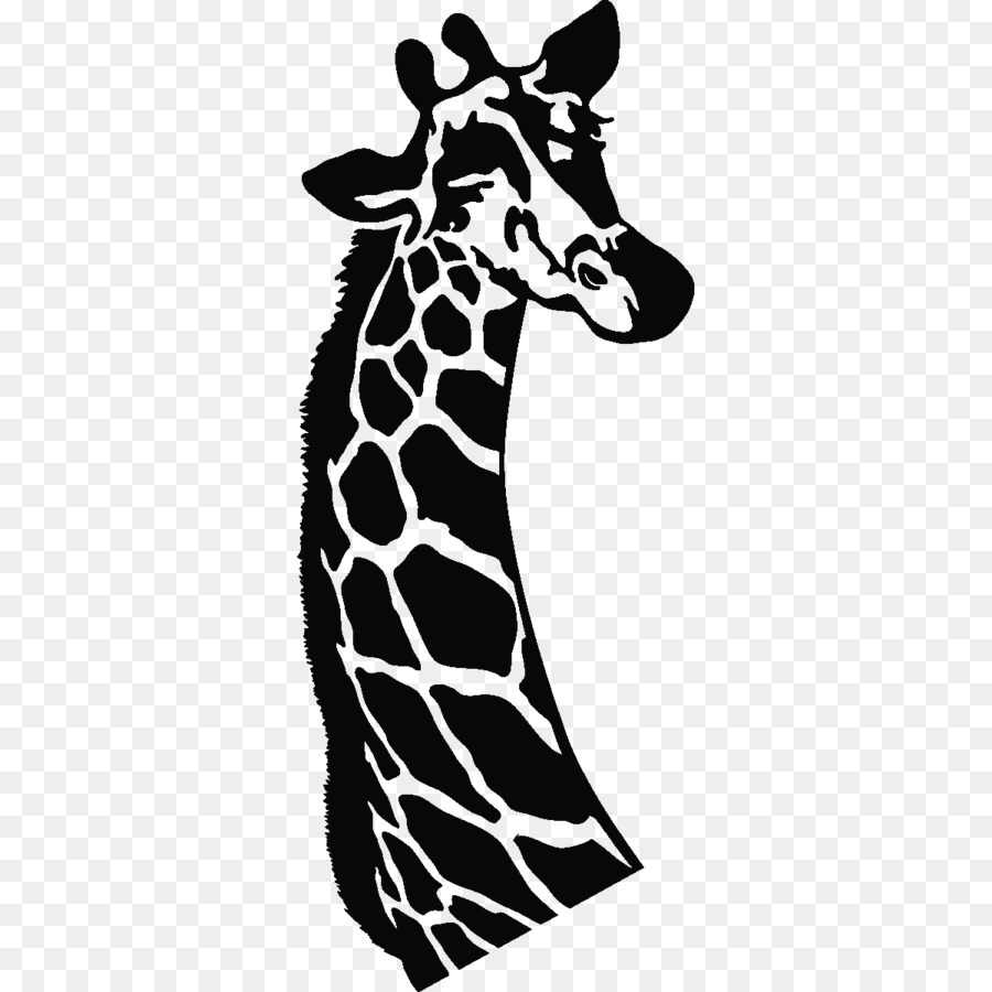 Girafa，Cavalo PNG
