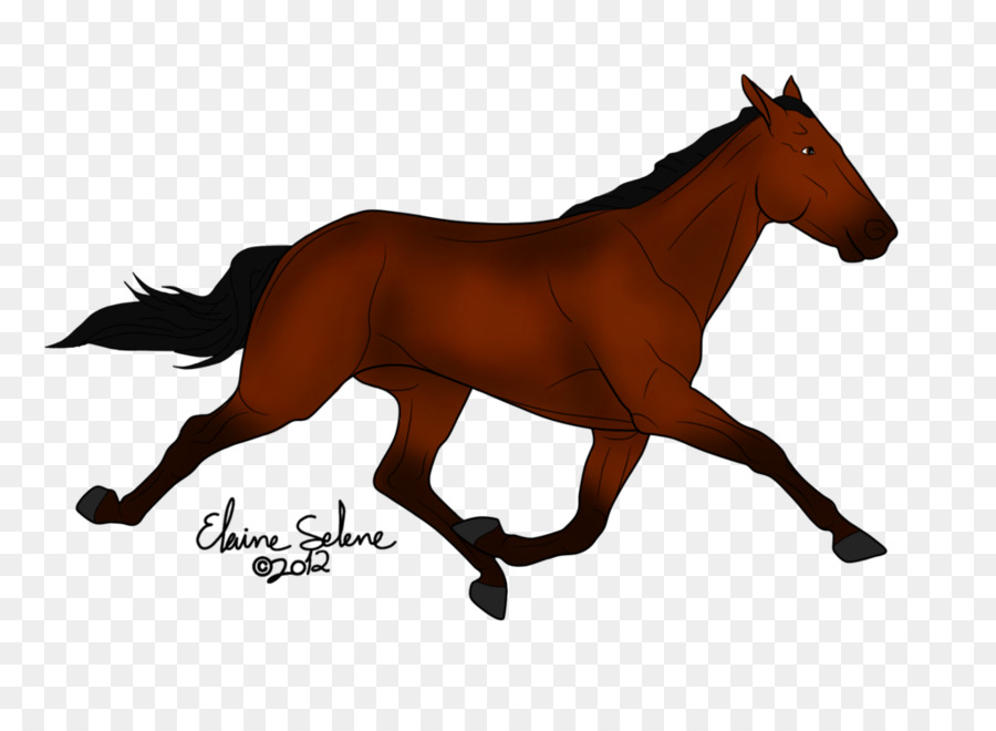 Cavalo，Correndo PNG