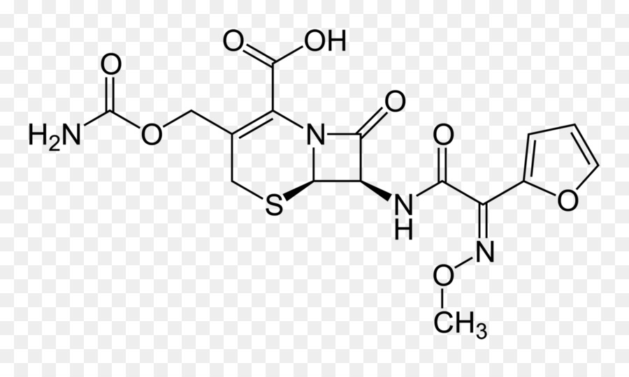 Cefuroxime，Cefalosporina PNG