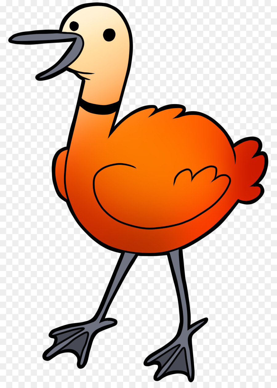 Flamingo，Pássaro PNG