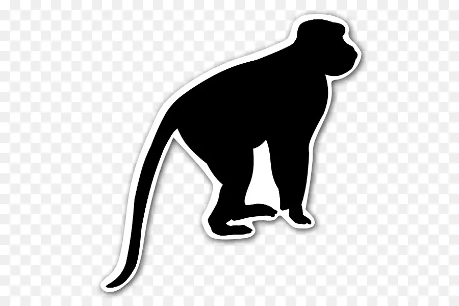 De Primatas，Chimpanzé PNG