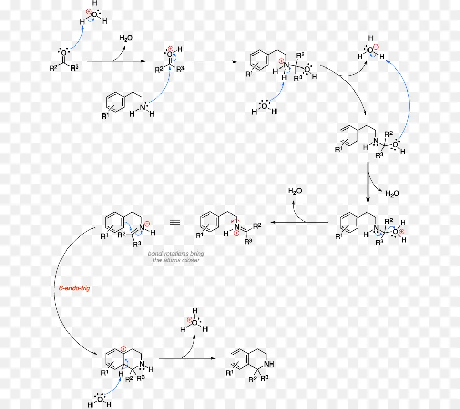 Reação Química，Molécula PNG