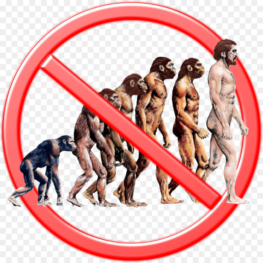 Evolução，Por Que A Evolução é Verdadeira PNG
