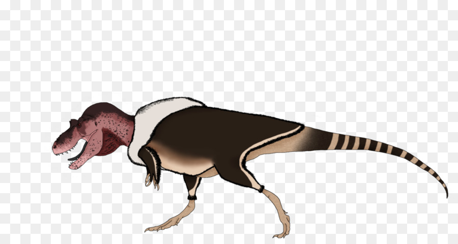 Austroraptor，Dinossauro PNG