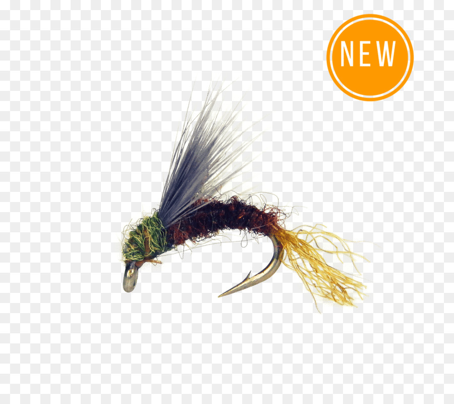 Baetis，A Pesca Com Mosca PNG