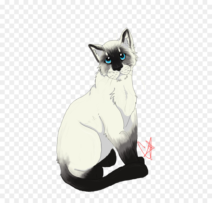 O Gato Balinês，Snowshoe Gato PNG