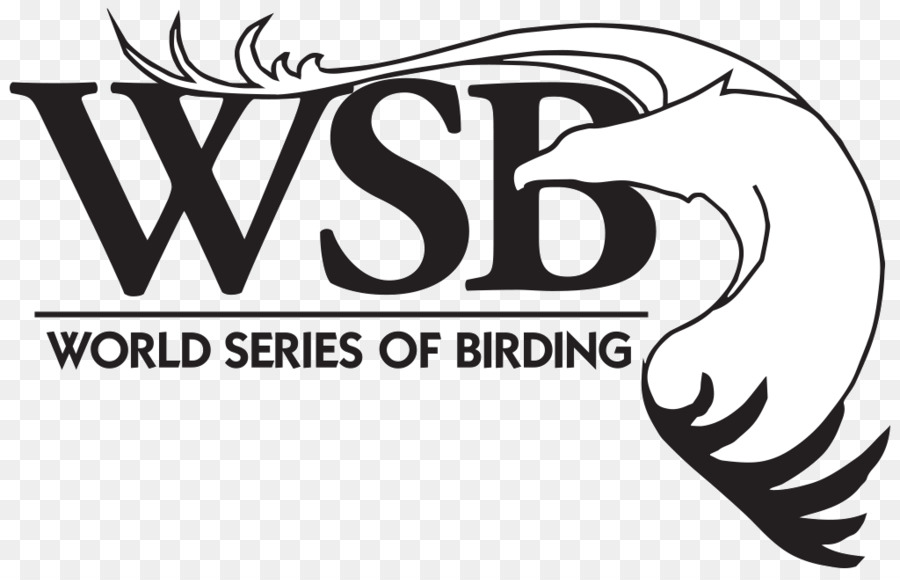 Série Mundial De Observação De Aves，Mlb World Series PNG