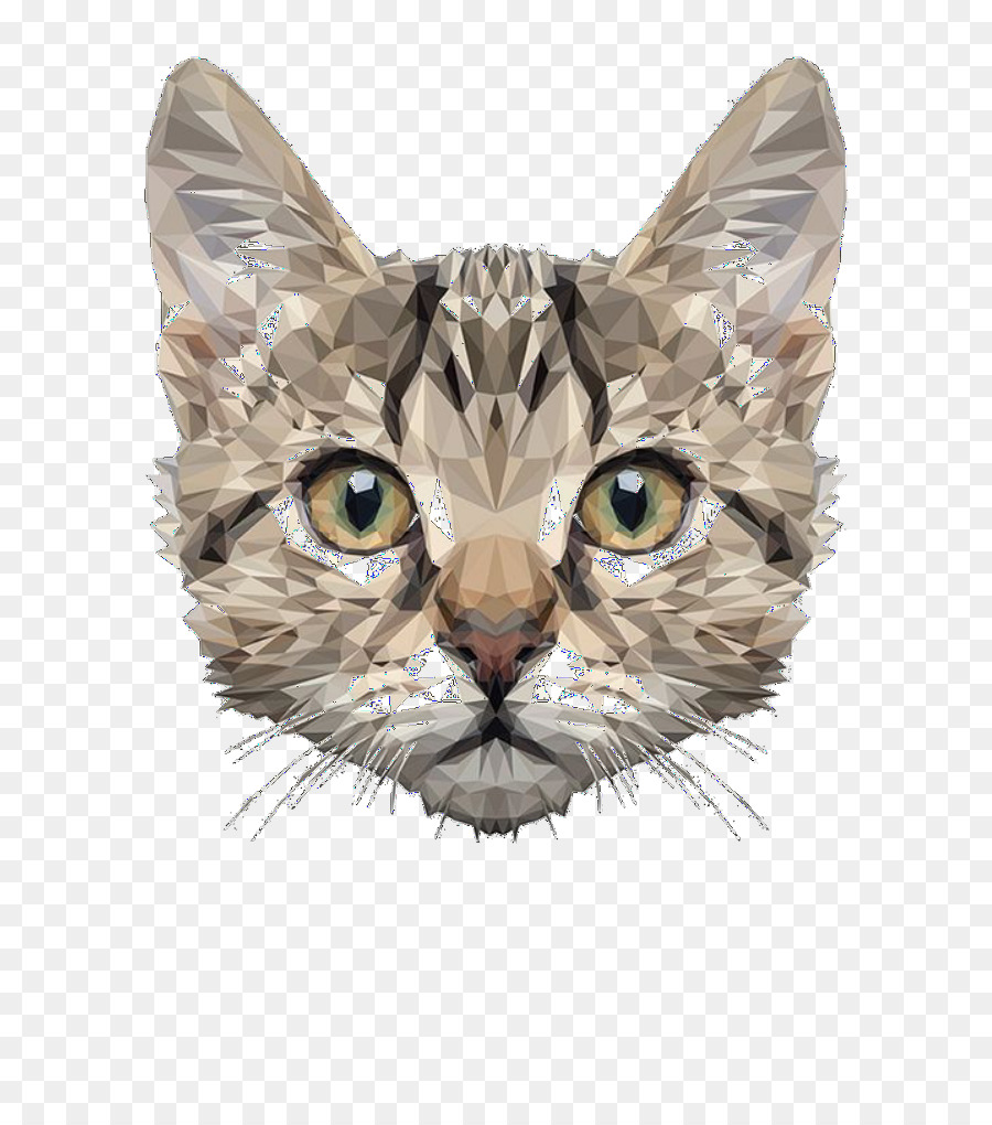 Maine Coon，Cão PNG