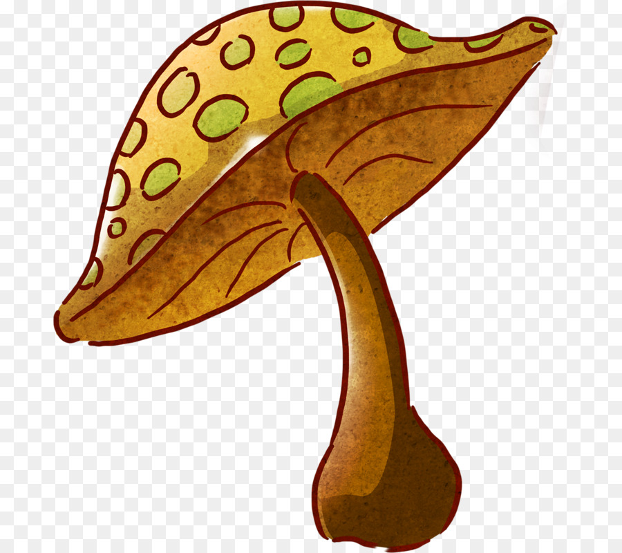 Cogumelo Comum，Desenho PNG