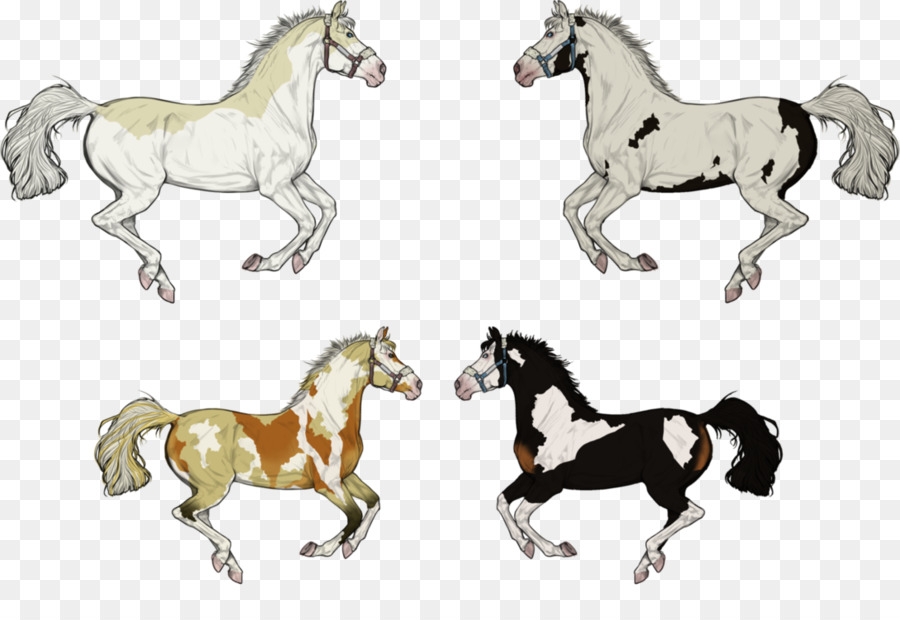 Cavalos，Cavalo PNG