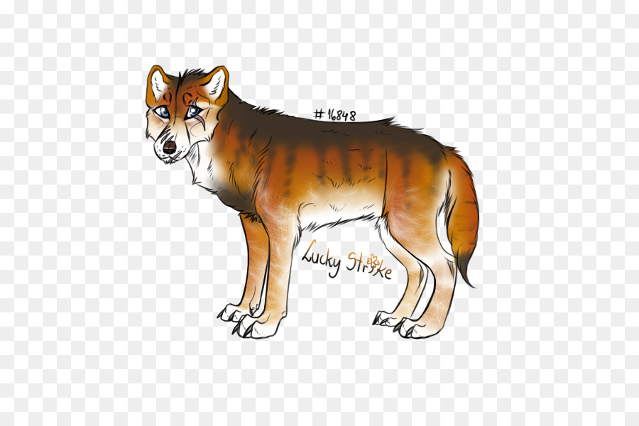 Dingo，Raposa Vermelha PNG
