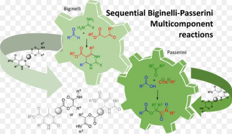 A Reação De Biginelli，Reação Multicomponente PNG