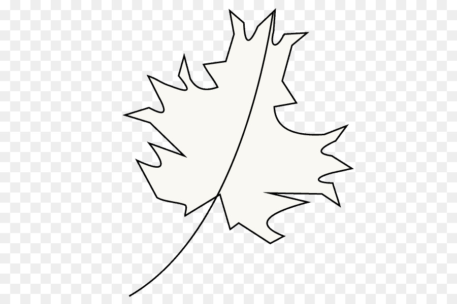 Maple Leaf，Galho PNG