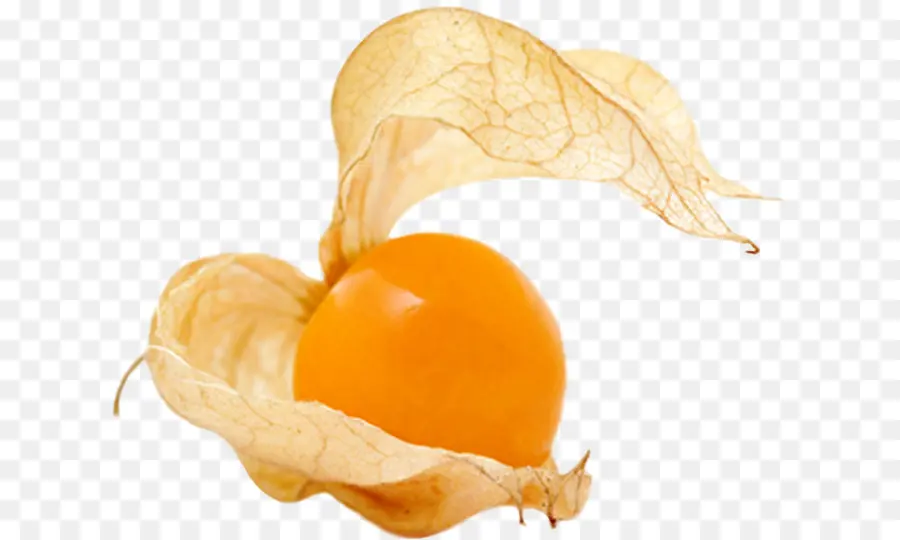 Fruta Physalis，Casca PNG