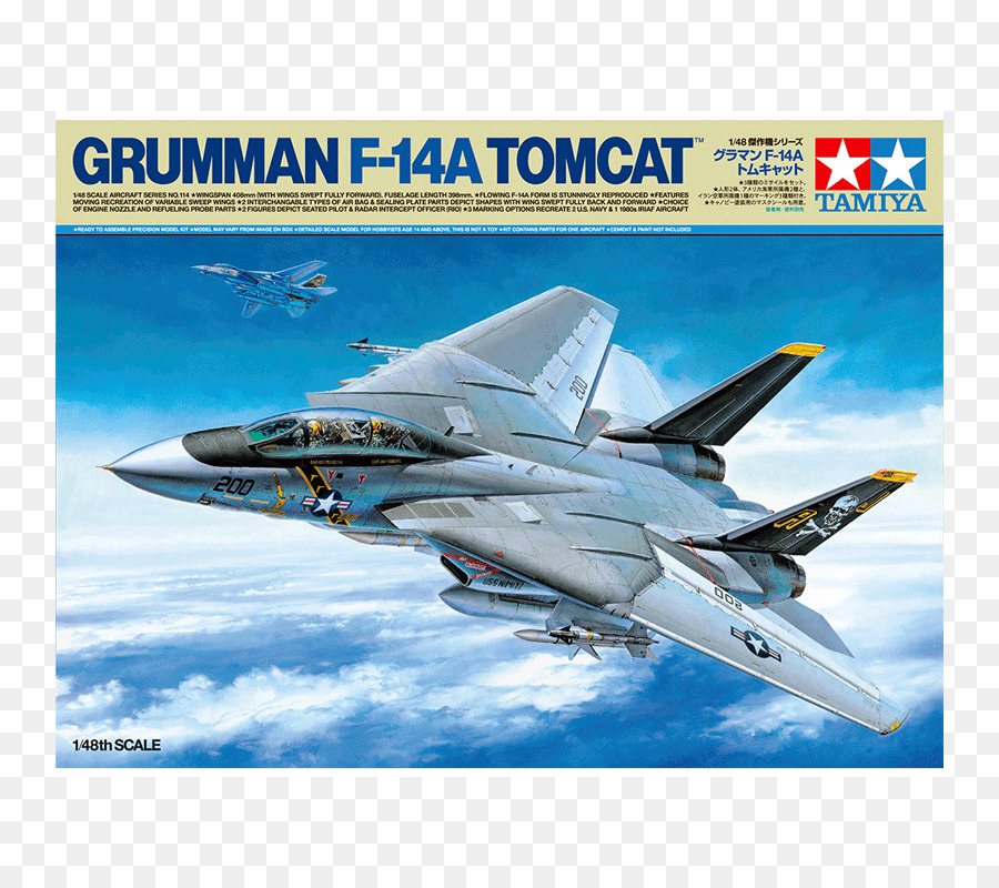 Grumman F14 Tomcat，Avião PNG