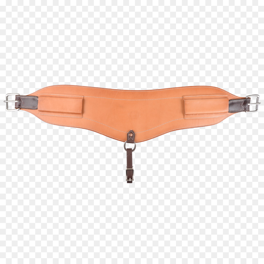 Girth，Cavalo PNG