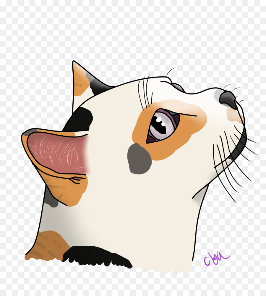 Bigodes，Gatinho PNG