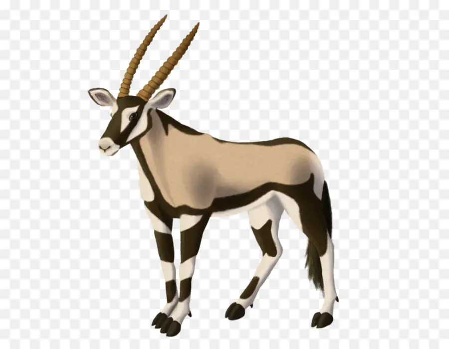 Gemsbok，Antelope PNG
